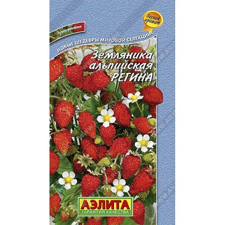 Земляника Регина альпийская Аэлита Ц