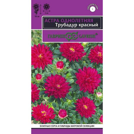 Астра Трубадур красный Гавриш Цх10
