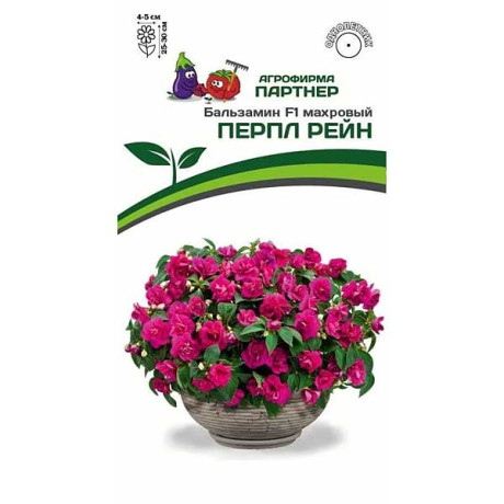 Бальзамин Перпл Рейн Партнер Ц