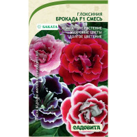 Семена комнатная Глоксиния Брокада Смесь 4шт SK/Садовита Ц