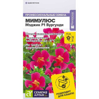 Мимулюс Мэджик Бургунди СемАлт Ц