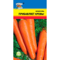Морковь Прибавляет кровь Урожай у дачи Ц