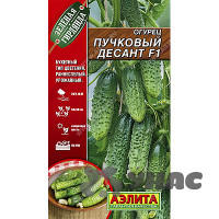 Огурец Пучковый десант Аэлита Ц