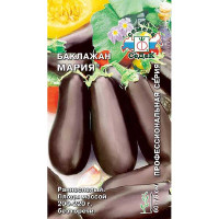 Баклажан Мария Седек Ц