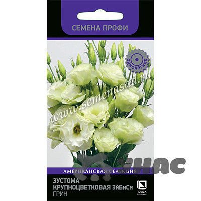 Эустома ЭйБиСи Грин Поиск Ц