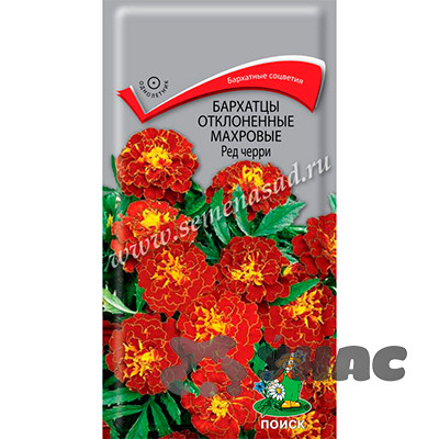 Бархатцы Ред Черри махр. Поиск Ц