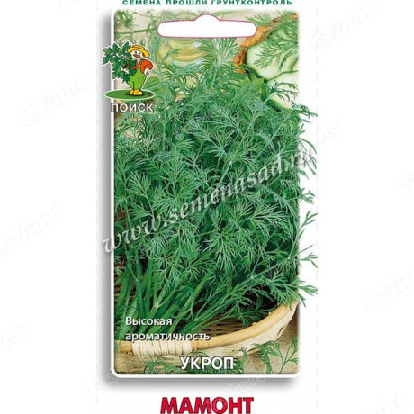 Укроп Мамонт Поиск Ц