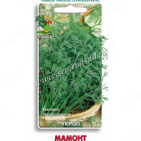 Укроп Мамонт Поиск Ц