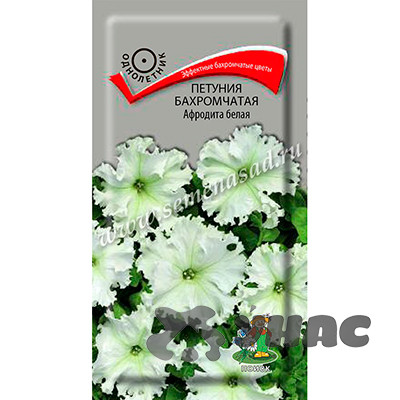 Петуния Афродита белая бахромч Поиск Ц