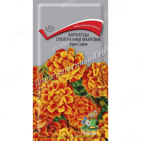 Бархатцы Квин София отклонен махр Поиск Ц