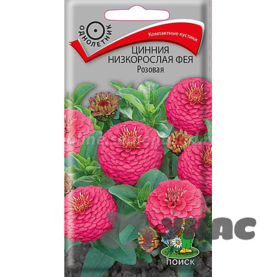 Циния Фея Розовая Поиск Ц