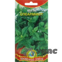 Мята Спеарминт Плазма Ц