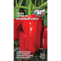 Перец Красный Слон Седек Ц