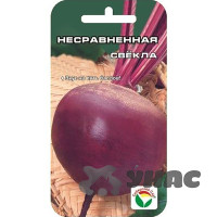 Свекла Несравненная СибСад Ц