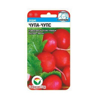 Редис Чупа-Чупс СибСад Ц