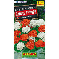 Пеларгония Дансер Йорк Аэлита Ц