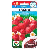 Брусника Садовая СибСад Ц