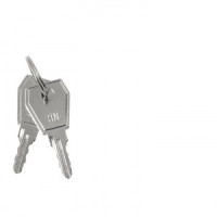 EKF PROxima Ключ для пластикового замка к ЩРН (арт. lock-shrn-ip31) (10!) key-4