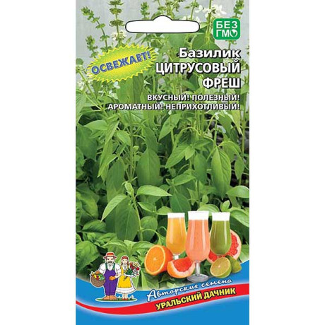 Базилик Цитрусовый фреш Марс Ц