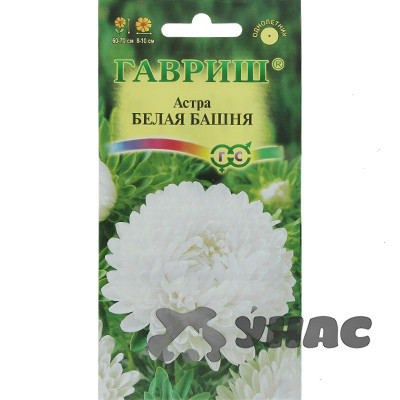 Астра Белая башня Гавриш Ц