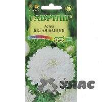 Астра Белая башня Гавриш Ц