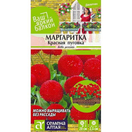 Маргаритка Красная Пуговка помпонная СемАлт Ц