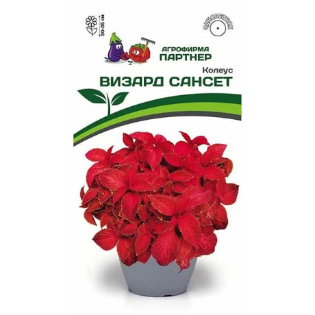 Колеус Визард Сансет Партнер Ц