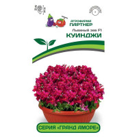 Львиный зев Гранд Аморе Куинджи Партнер