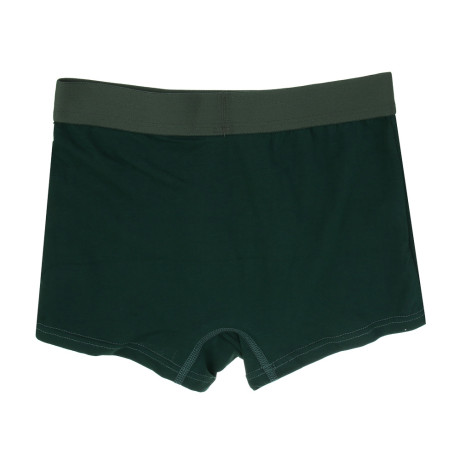 GALANTE Трусы-боксеры для мальчиков, р.134-140, 95%хлопок, 5%спандекс, разноцветный, НБ25-26