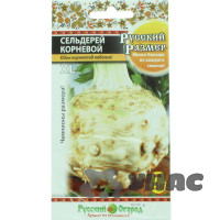 Сельдерей корневой Русский размер НК Ц