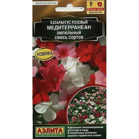 Катарантус Медитерранеан Аэлита Ц