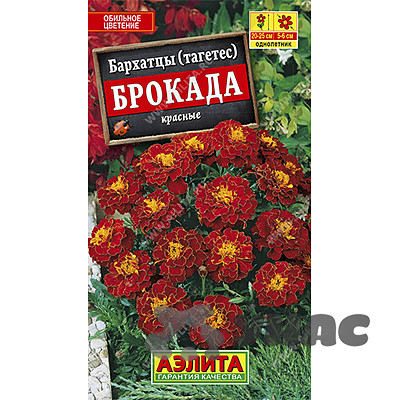 Бархатцы Брокада красные Аэлита Ц