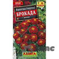 Бархатцы Брокада красные Аэлита Ц