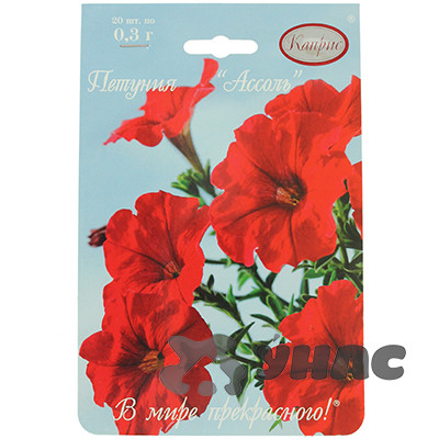 К Петуния Ассоль красная Каприс