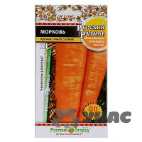 Морковь Русский Размер НК Ц