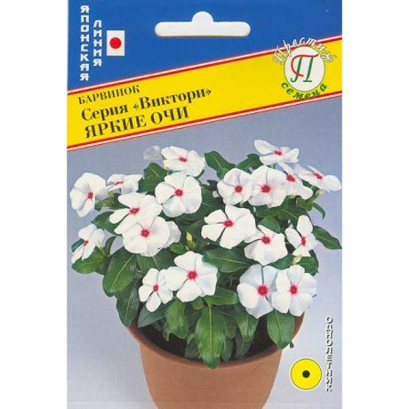 Барвинок Виктори Яркие очи Престиж Ц