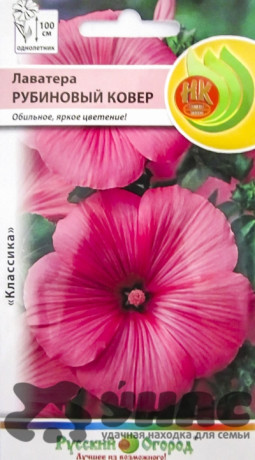 Лаватера Рубиновый ковер НК Ц