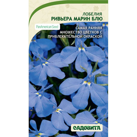 Лобелия Ривьера Марин Блю 10др PA/Садовита Ц