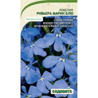 Лобелия Ривьера Марин Блю 10др PA/Садовита Ц