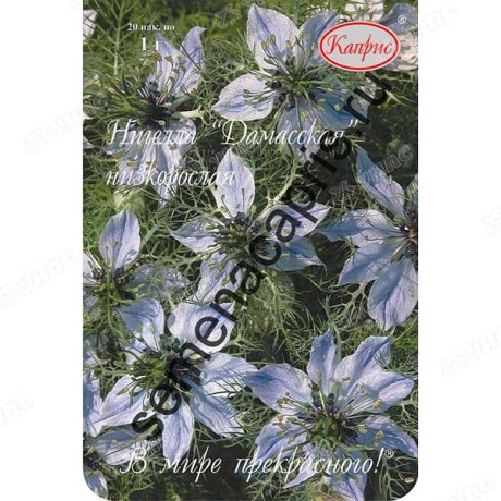 К Нигелла Дамасская Дюймовочка Каприс