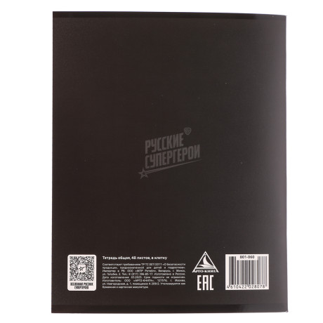 BY Русские Супергерои Тетрадь общая 48л.в клетку "Графика", УФтвин лак, обл. картон, скрепка, 4 диз.