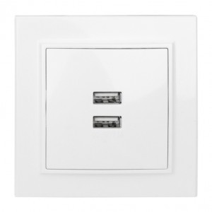 EKF Минск роз. СУ 2 мест. USB 2,1А бел. ERR-2USB-100