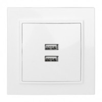 EKF Минск роз. СУ 2 мест. USB 2,1А бел. ERR-2USB-100