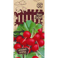 Редис Гусар Гавриш Ц