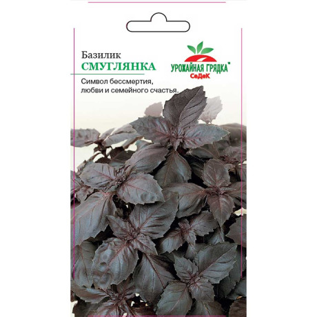 Базилик Смуглянка Седек Ц