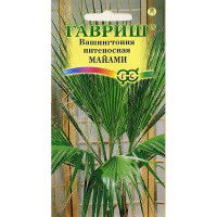 КОМ Вашингтония нитеносная Майами 3шт Гавриш Ц