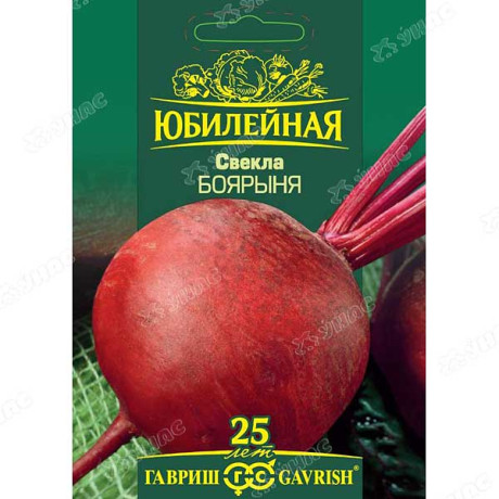 Свекла Боярыня Юбилейный Гавриш Ц