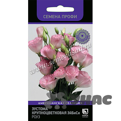 Эустома ЭйБиСи Роуз Поиск Ц