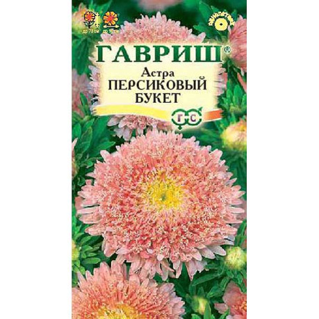 Астра Букет персиковый Гавриш Ц
