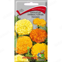 Бархатцы Максимикс прямост. Поиск Ц